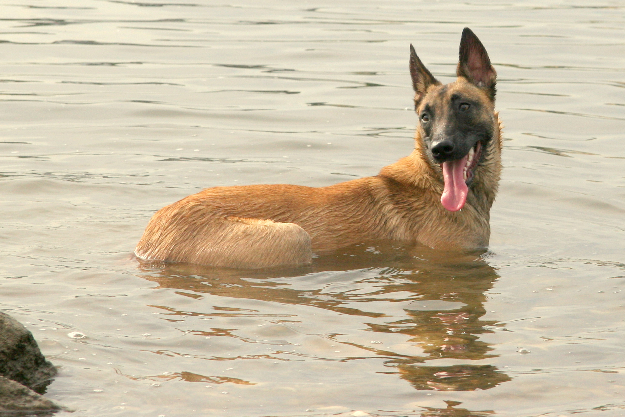 Das Monster von Loch Ness