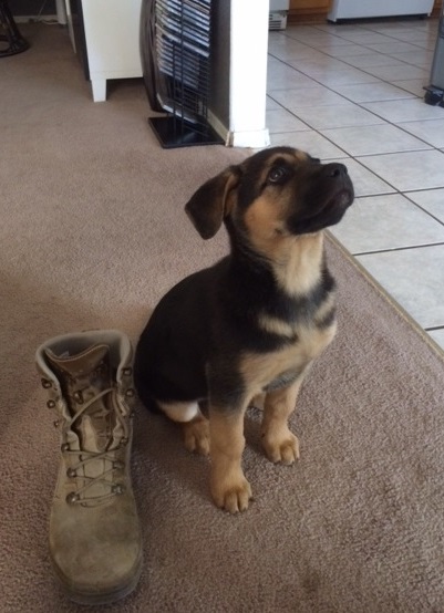 klein Emmy neben meinem Stiefel