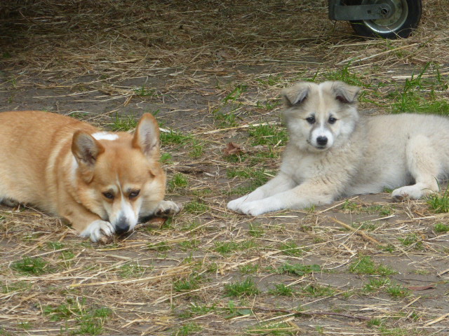 Ginny und Ida