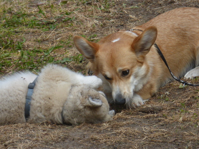 Ida und Woody