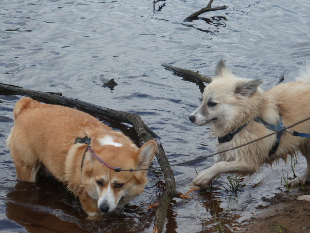 Ida und -Ginny