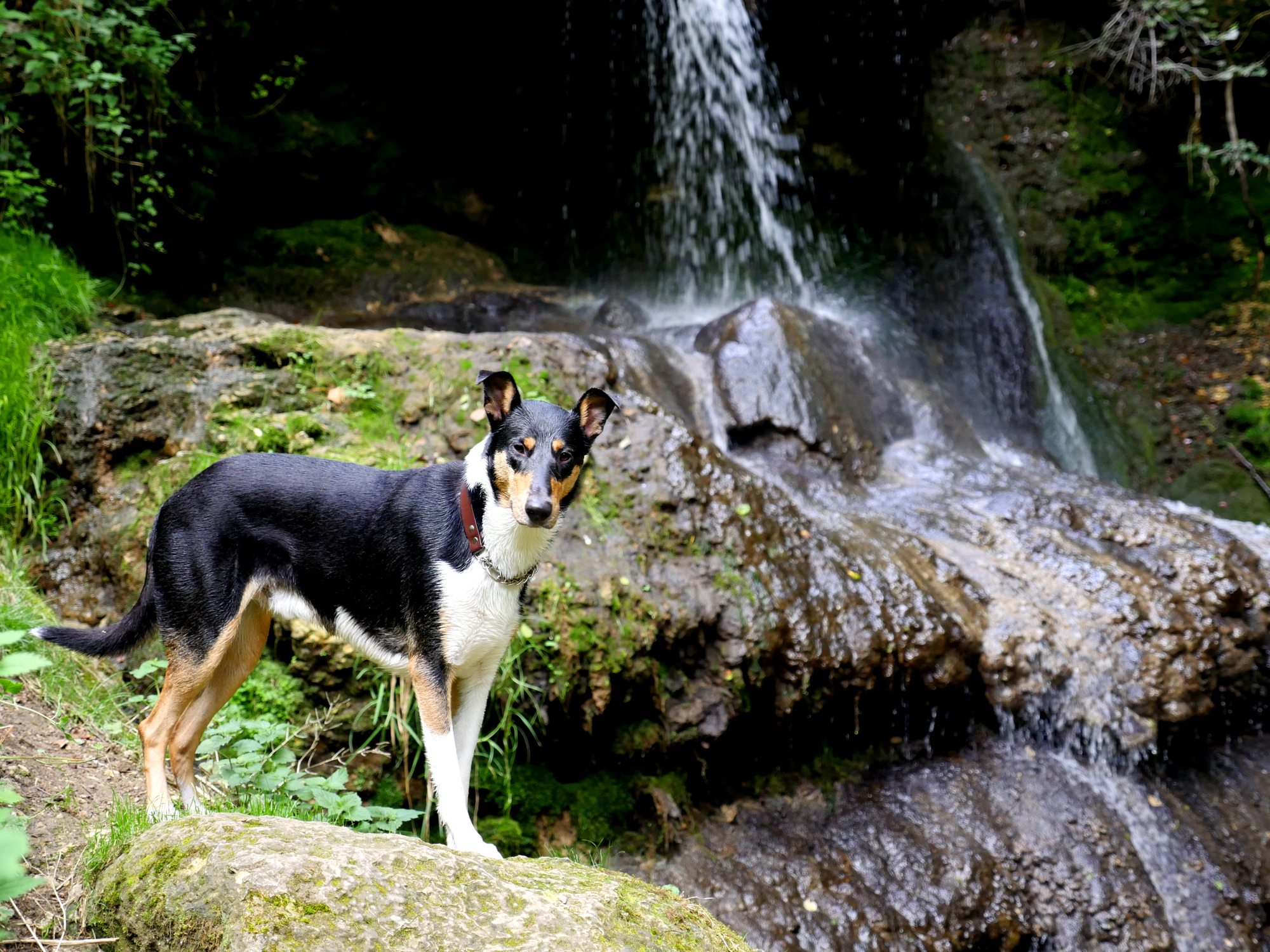 König des Wasserfalls ;)