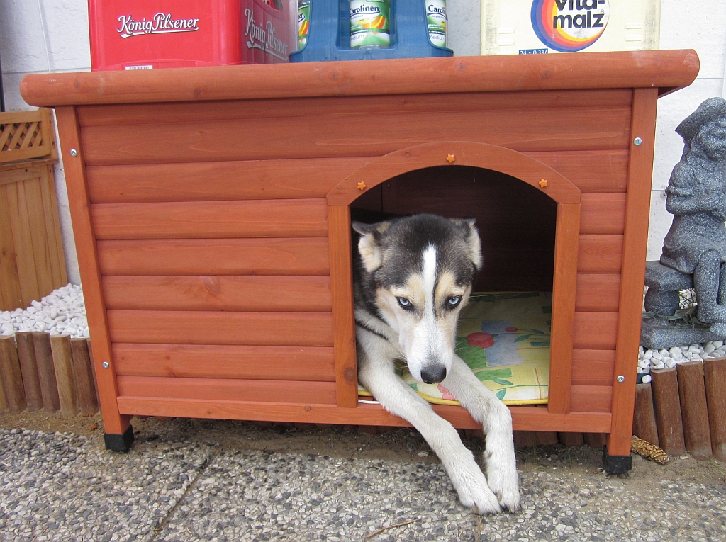 Oskar in seiner Hütte