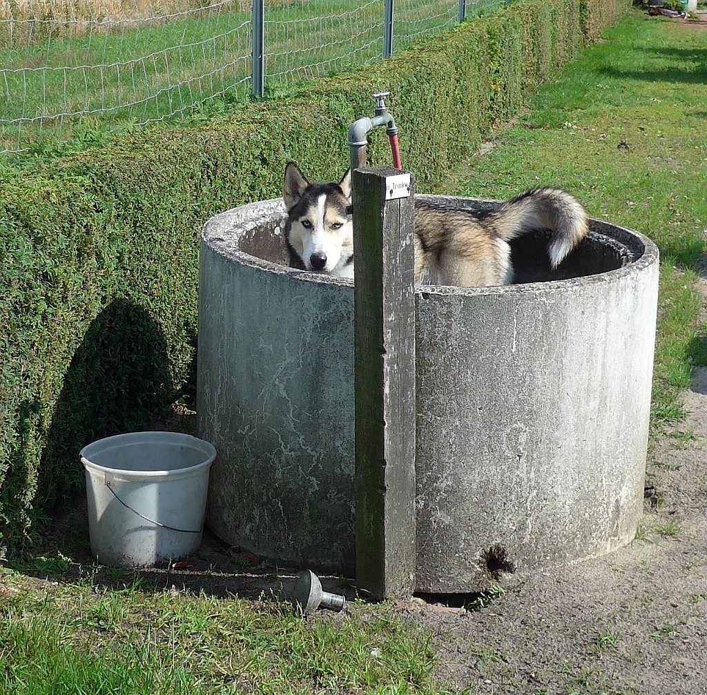 Oskar in der "Badewanne"