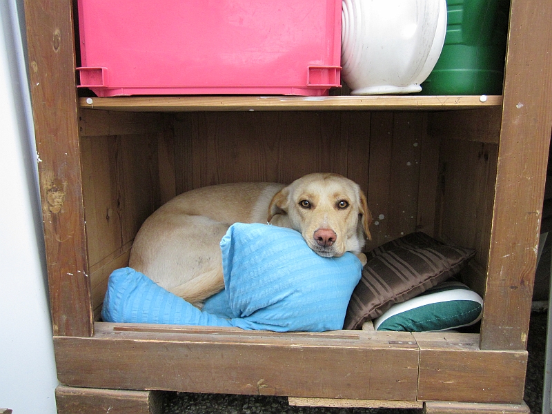 Luna im Schrank