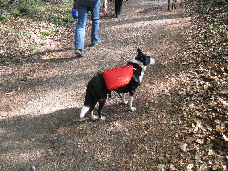 Betsey mit Rucksack