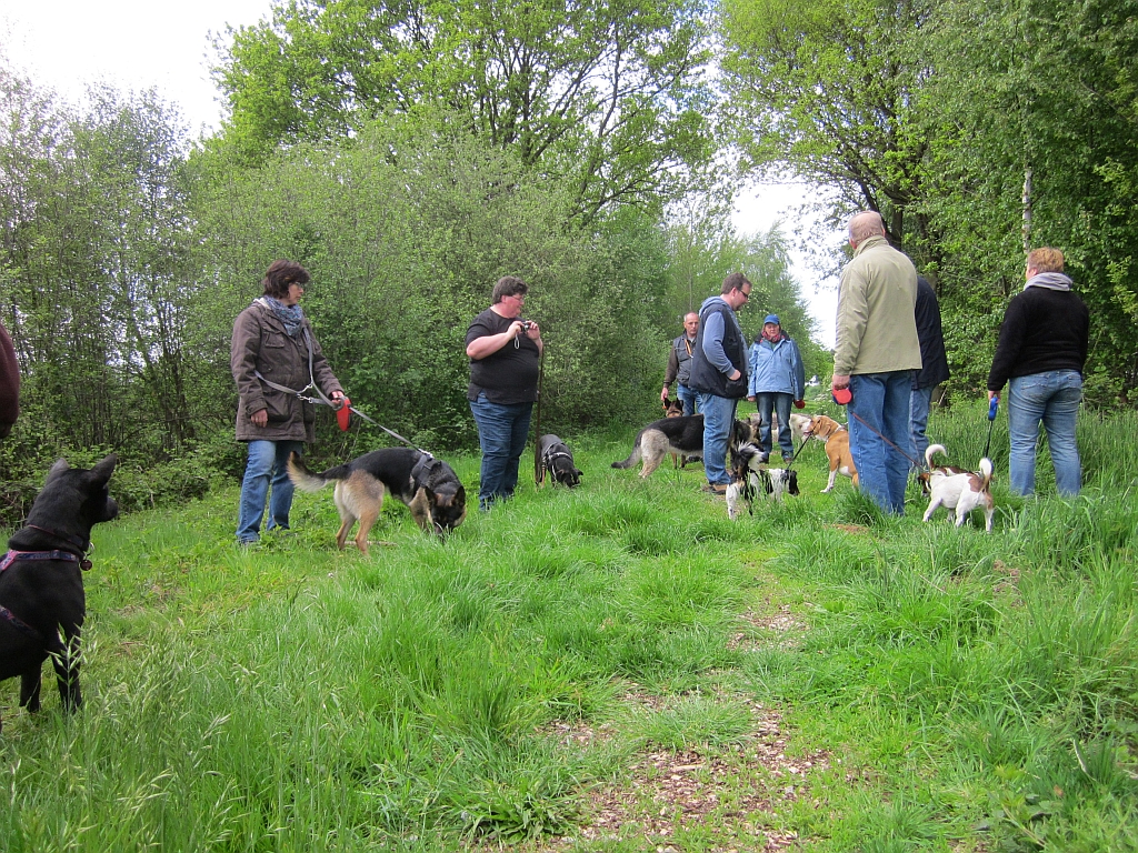 Spargelwandern im Frühjahr