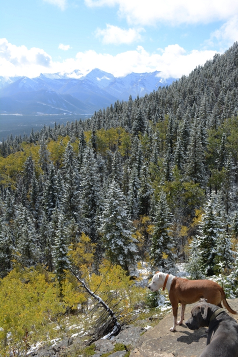 Yamnuska, AB