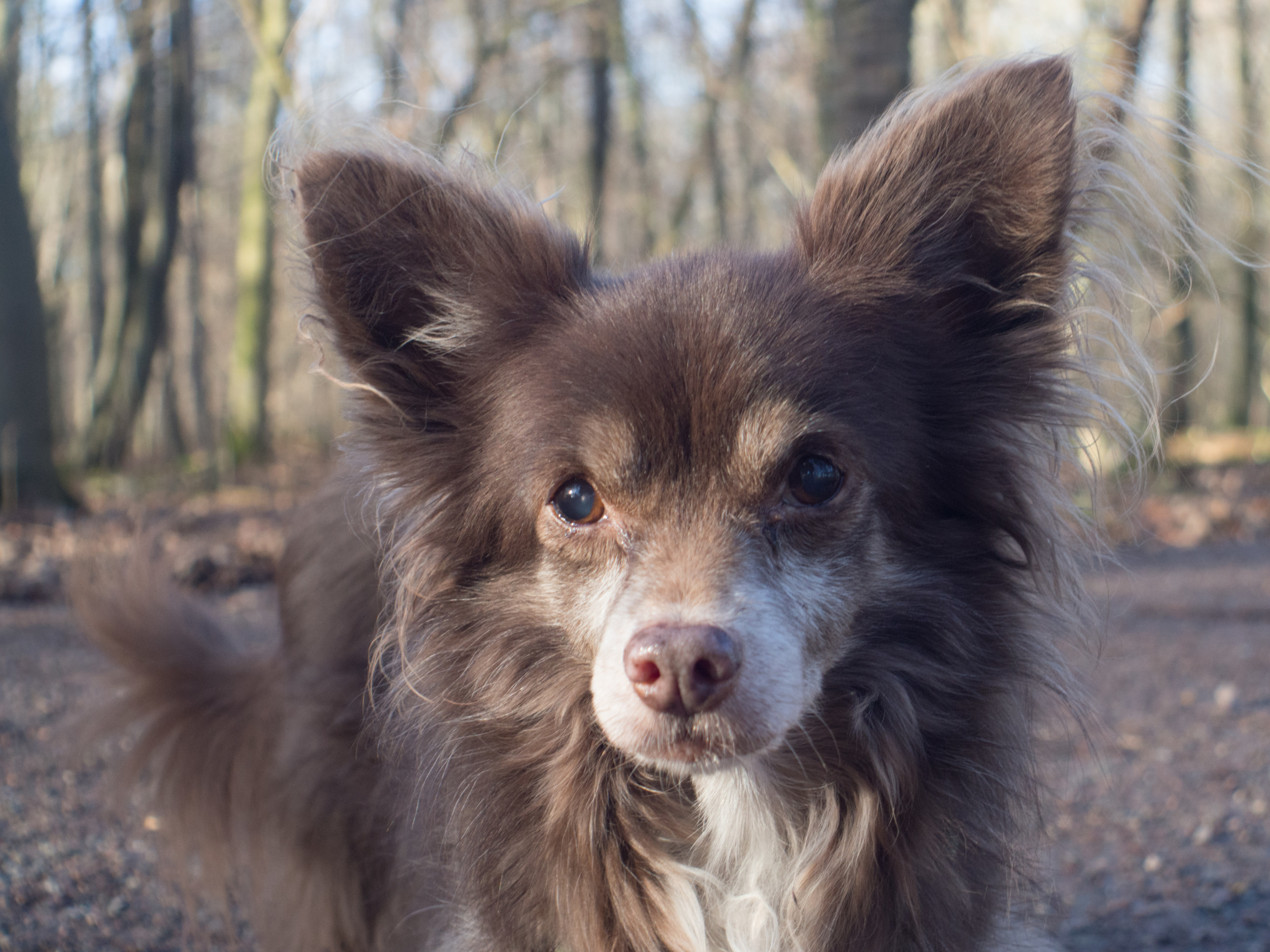 Oma Xale - fast blind, fast taub und dement. Liebenswert!