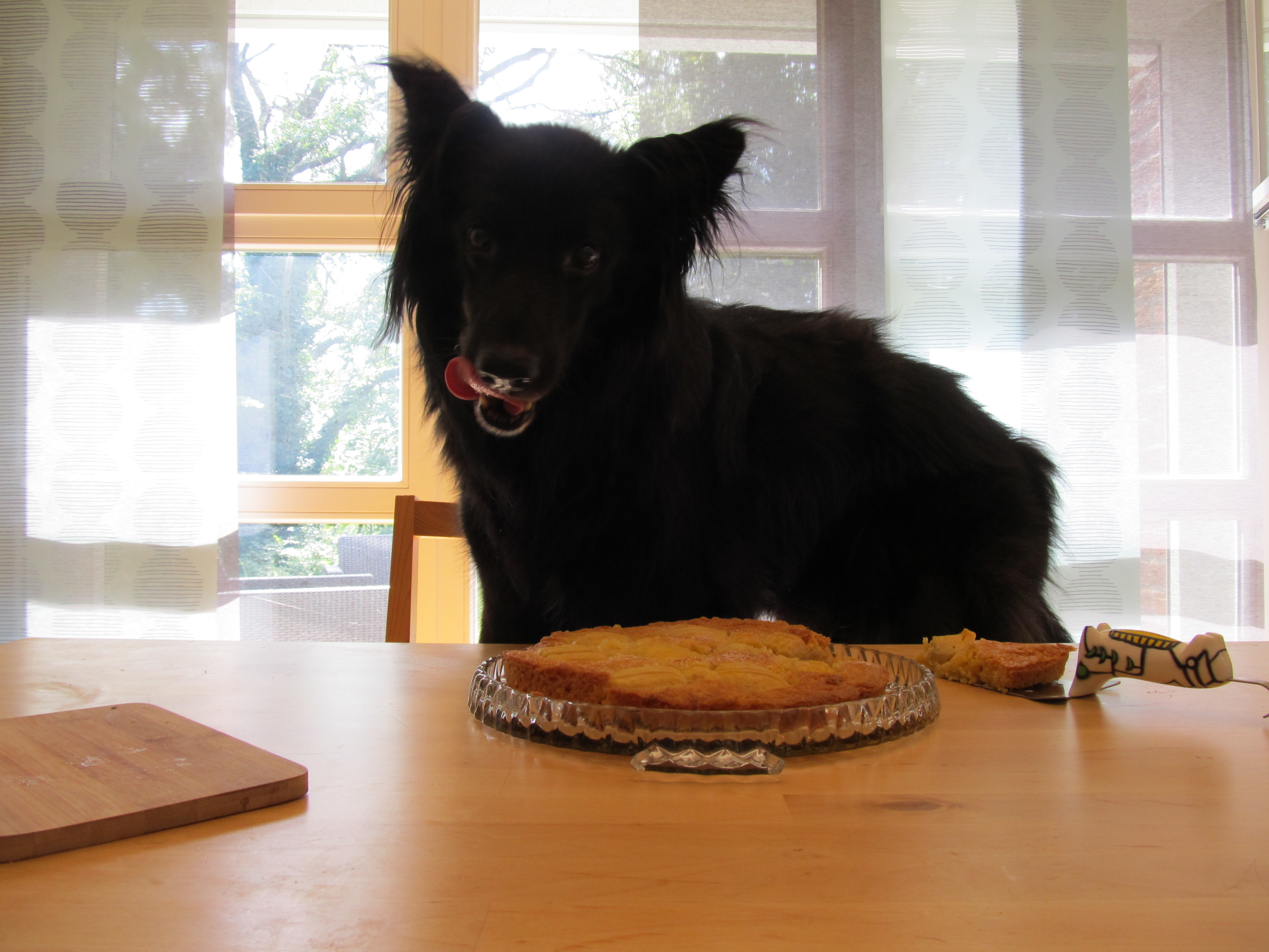 Charly und der Apfelkuchen