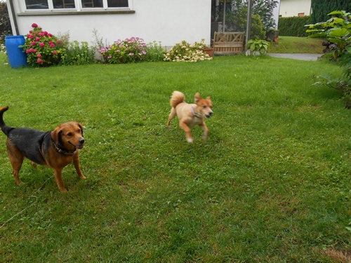 Ballspielen mit Opa