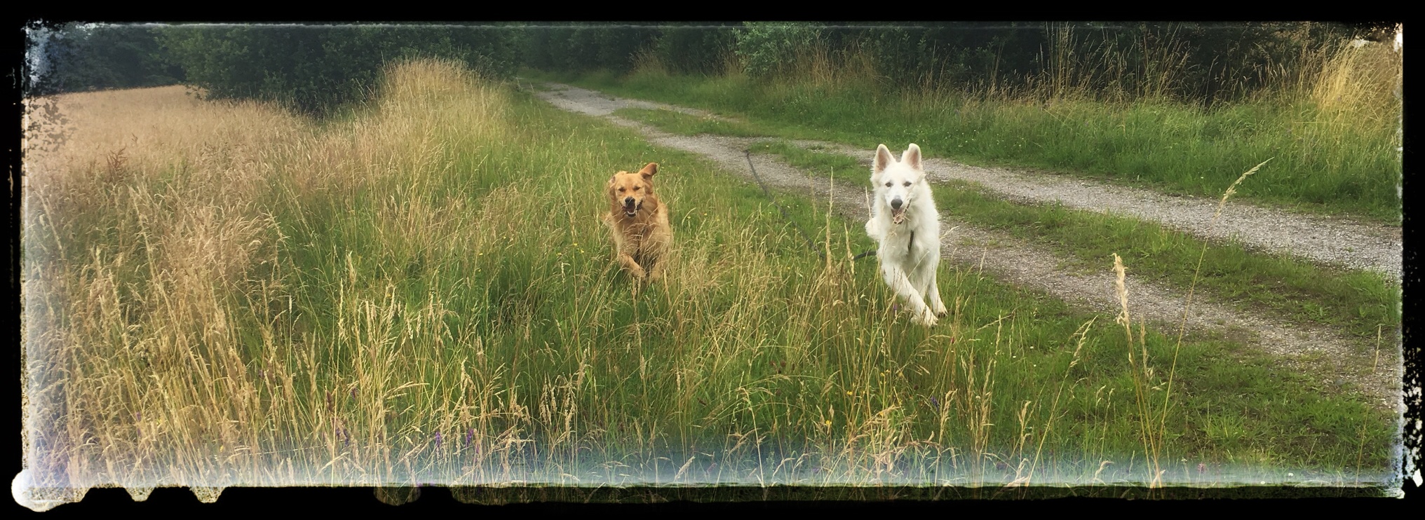 Bono und Sam