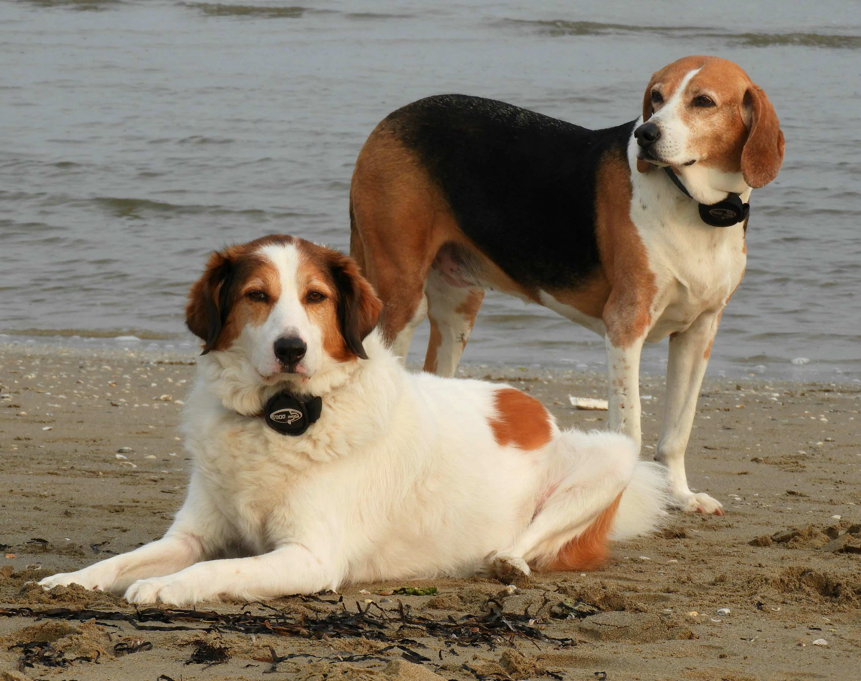 Zwei Griechen in Italien