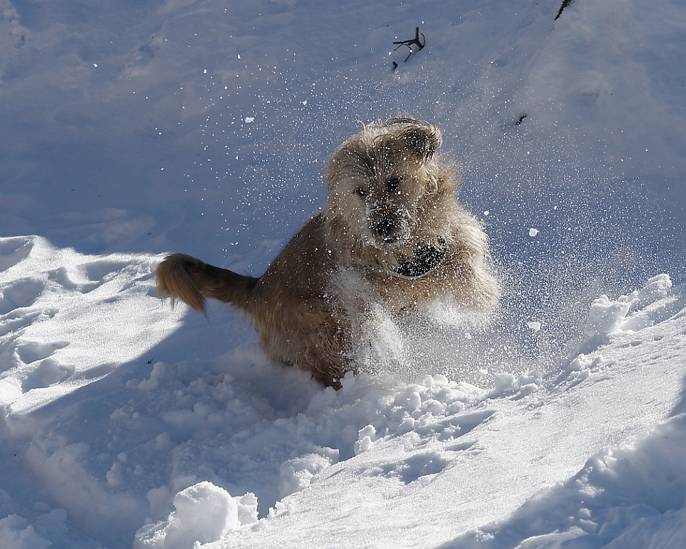 Wow, so viel Schnee!