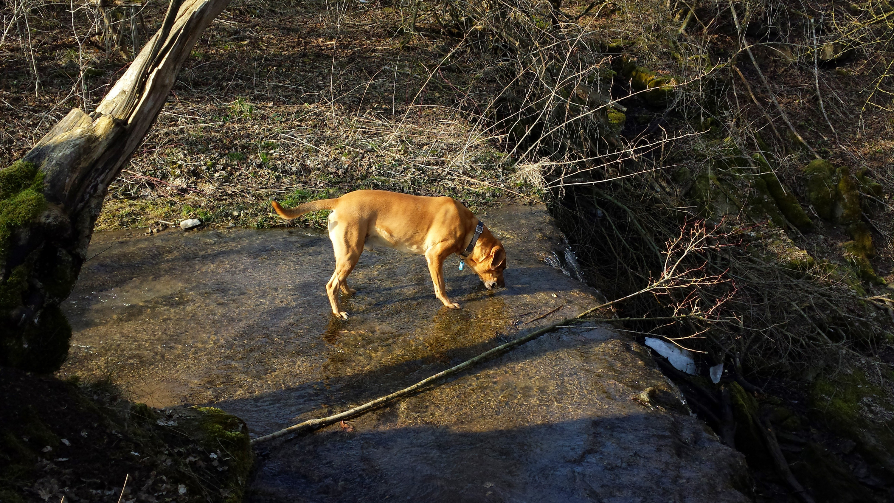 am Wasserfall