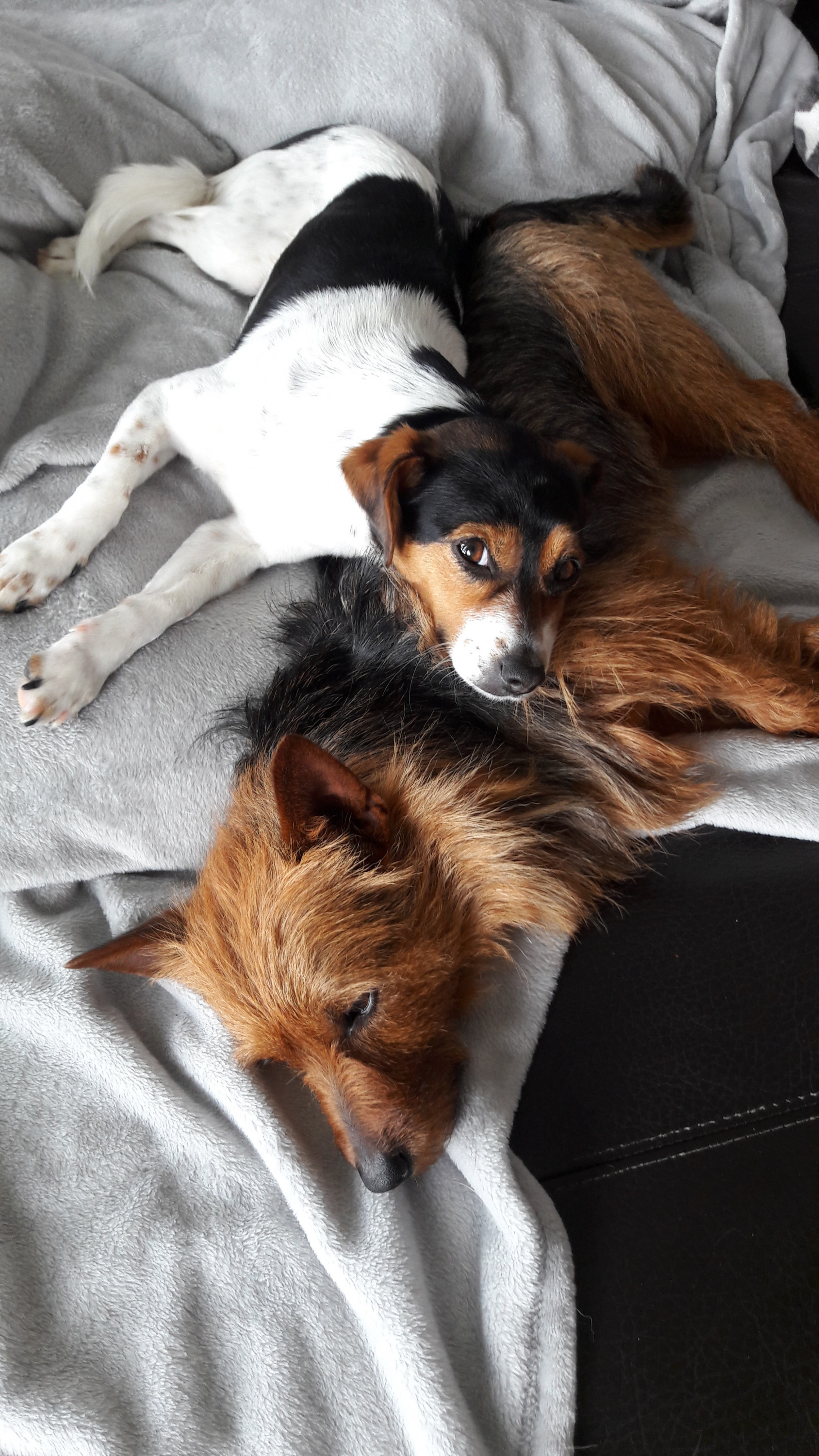 Tilly und Samy