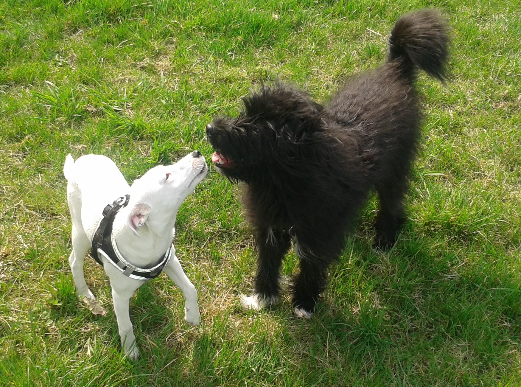 Bruno und Greta