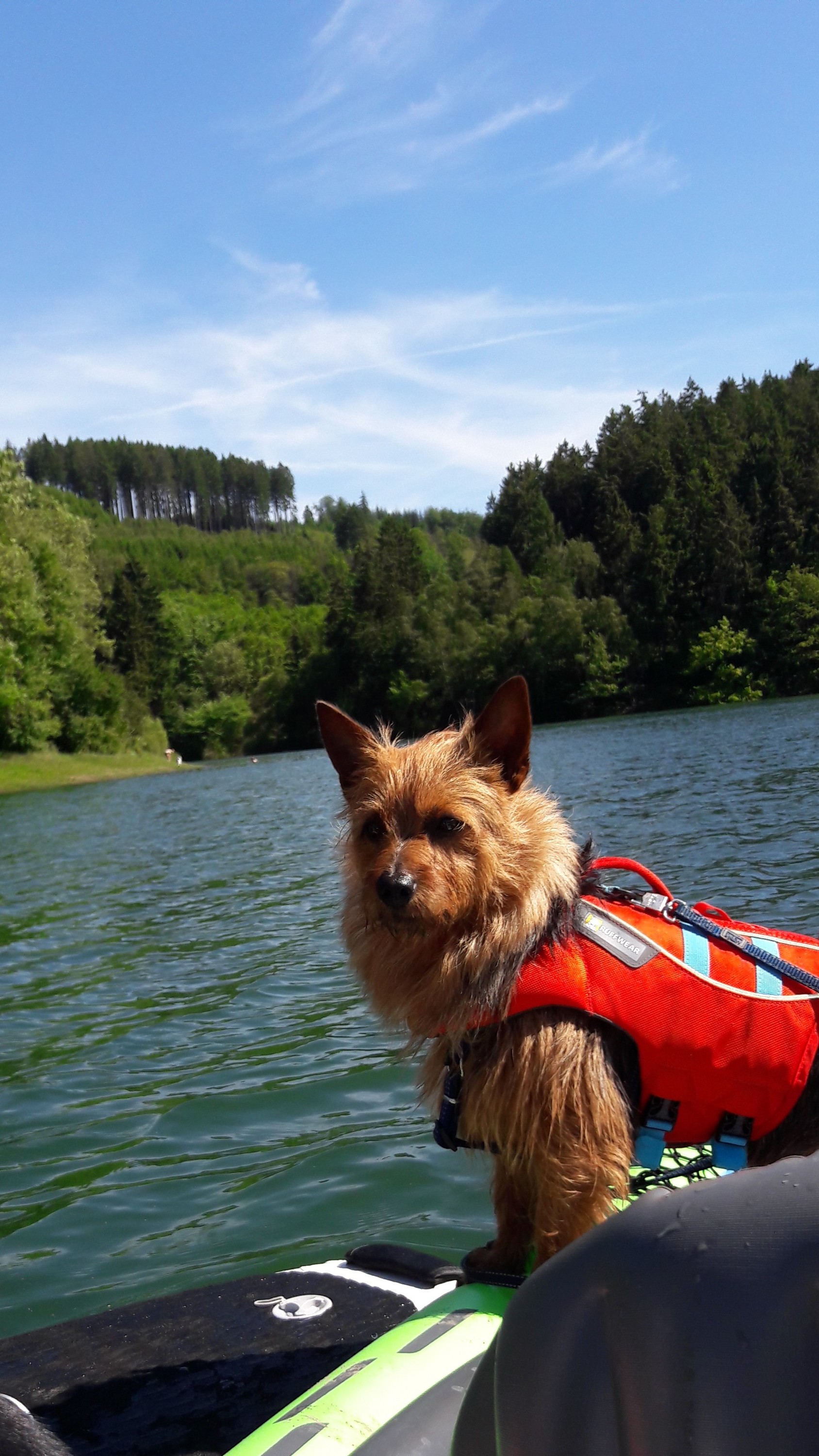 Samy auf hoher See