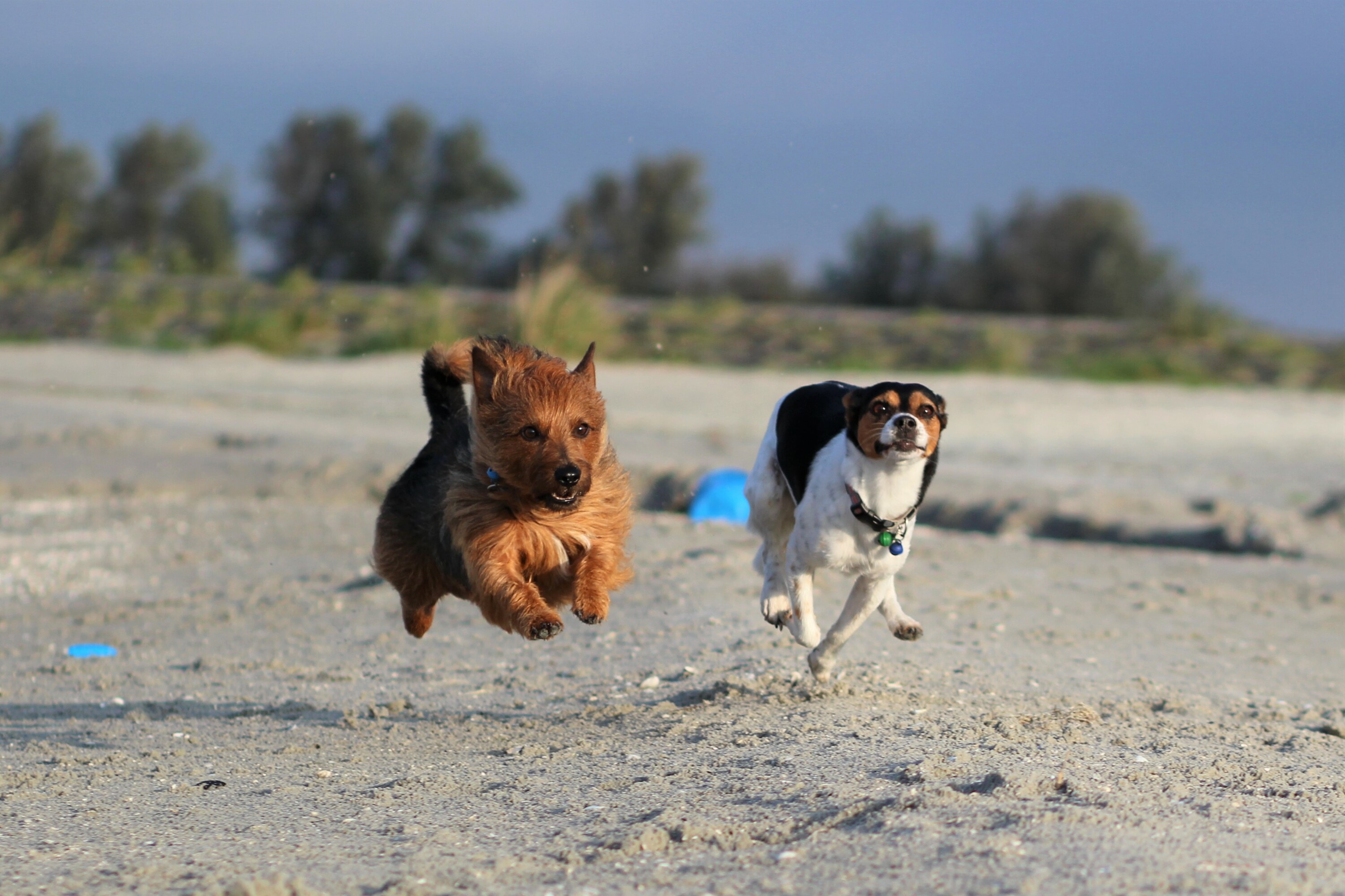 Rennen am Strand