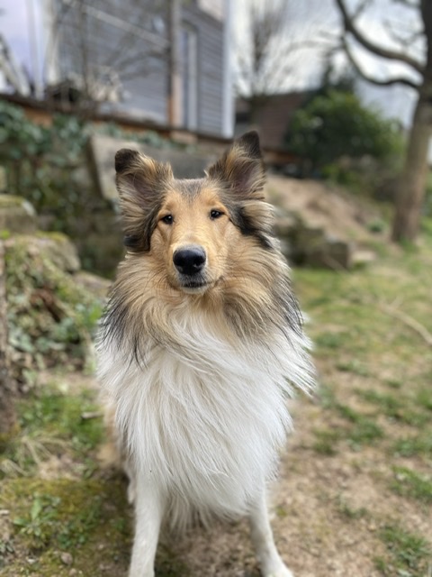 Betty im Garten