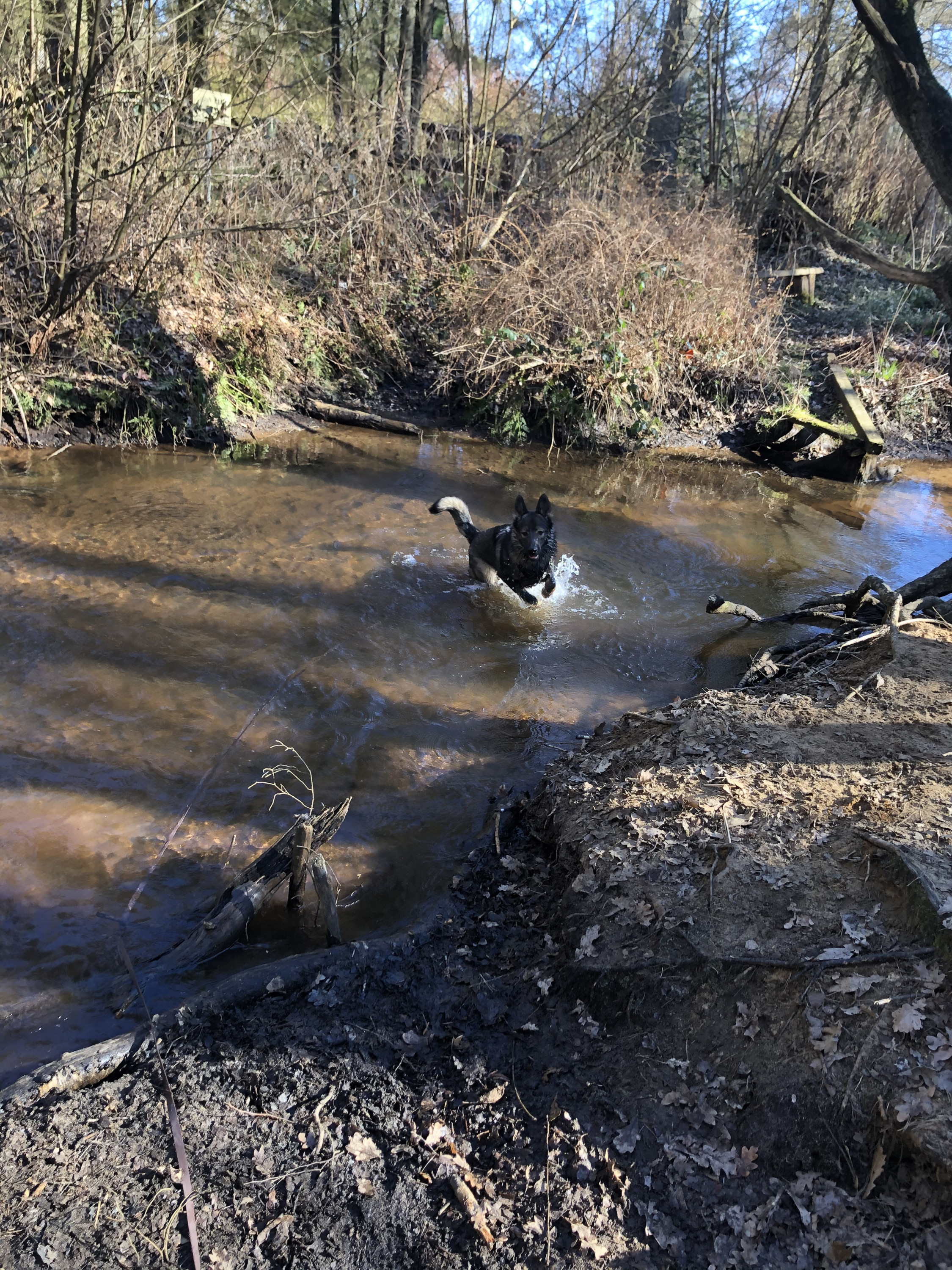 Badesaison eingeläutet ?