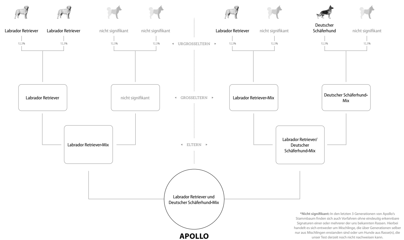 Apollos DNA-Testergebnisse