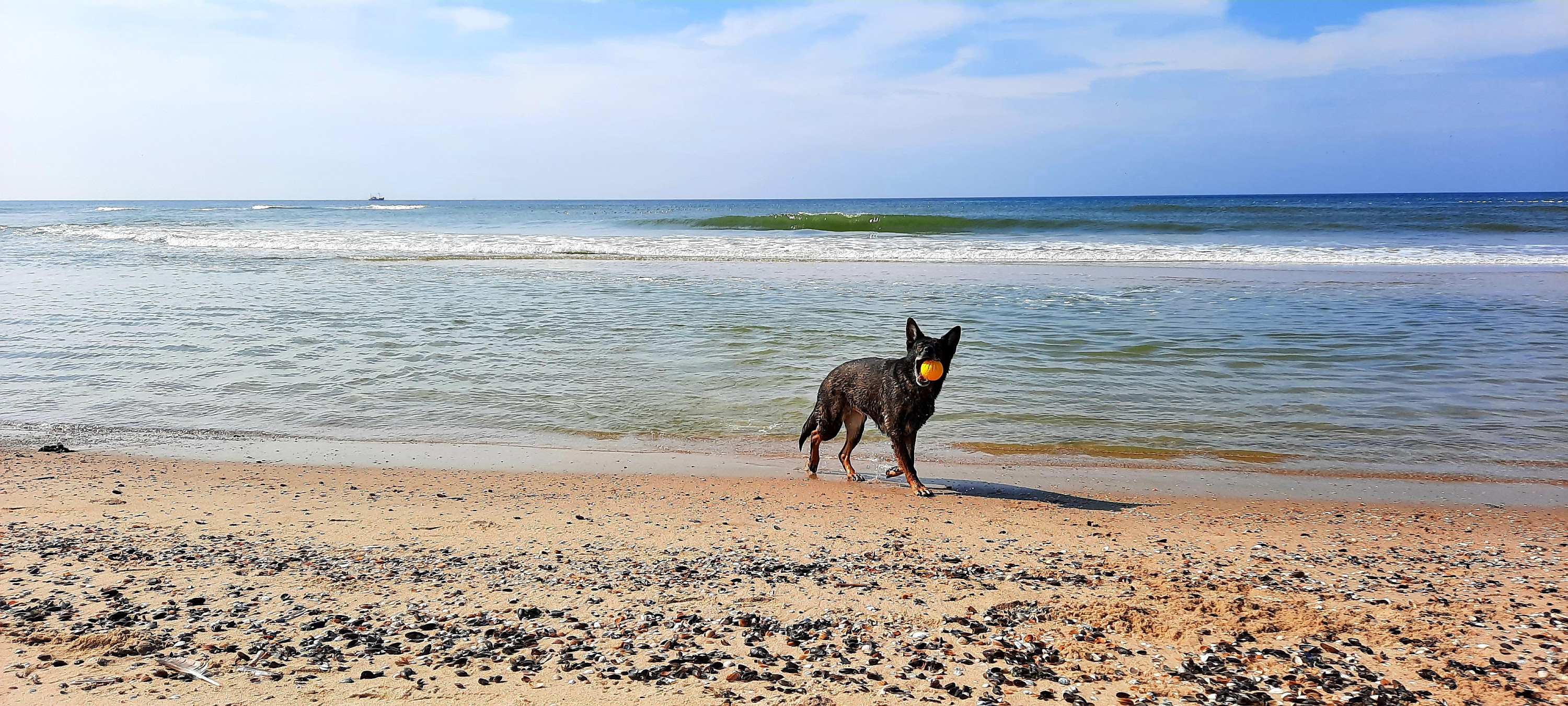 Spaß am Strand