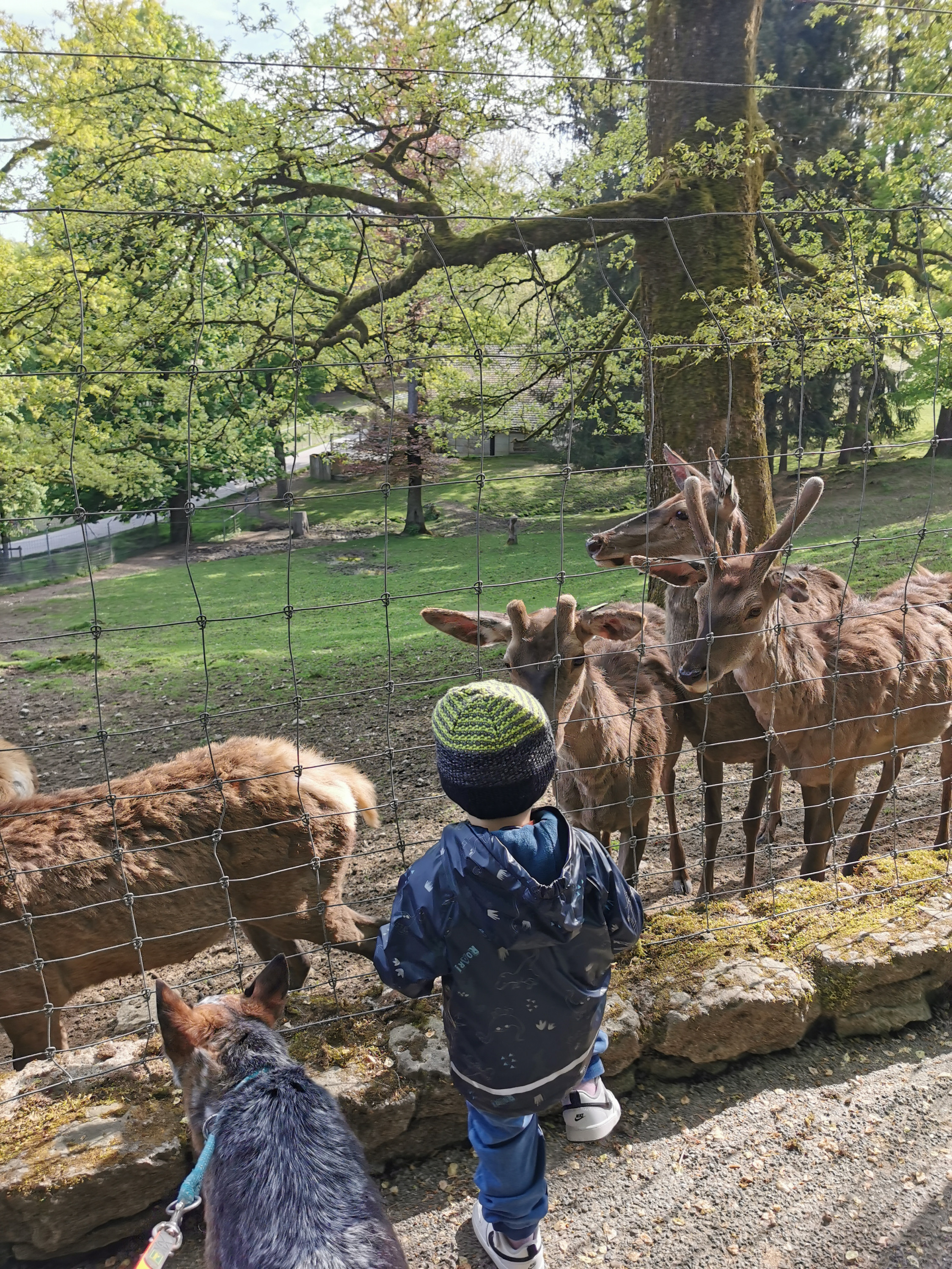 Wildtierpark