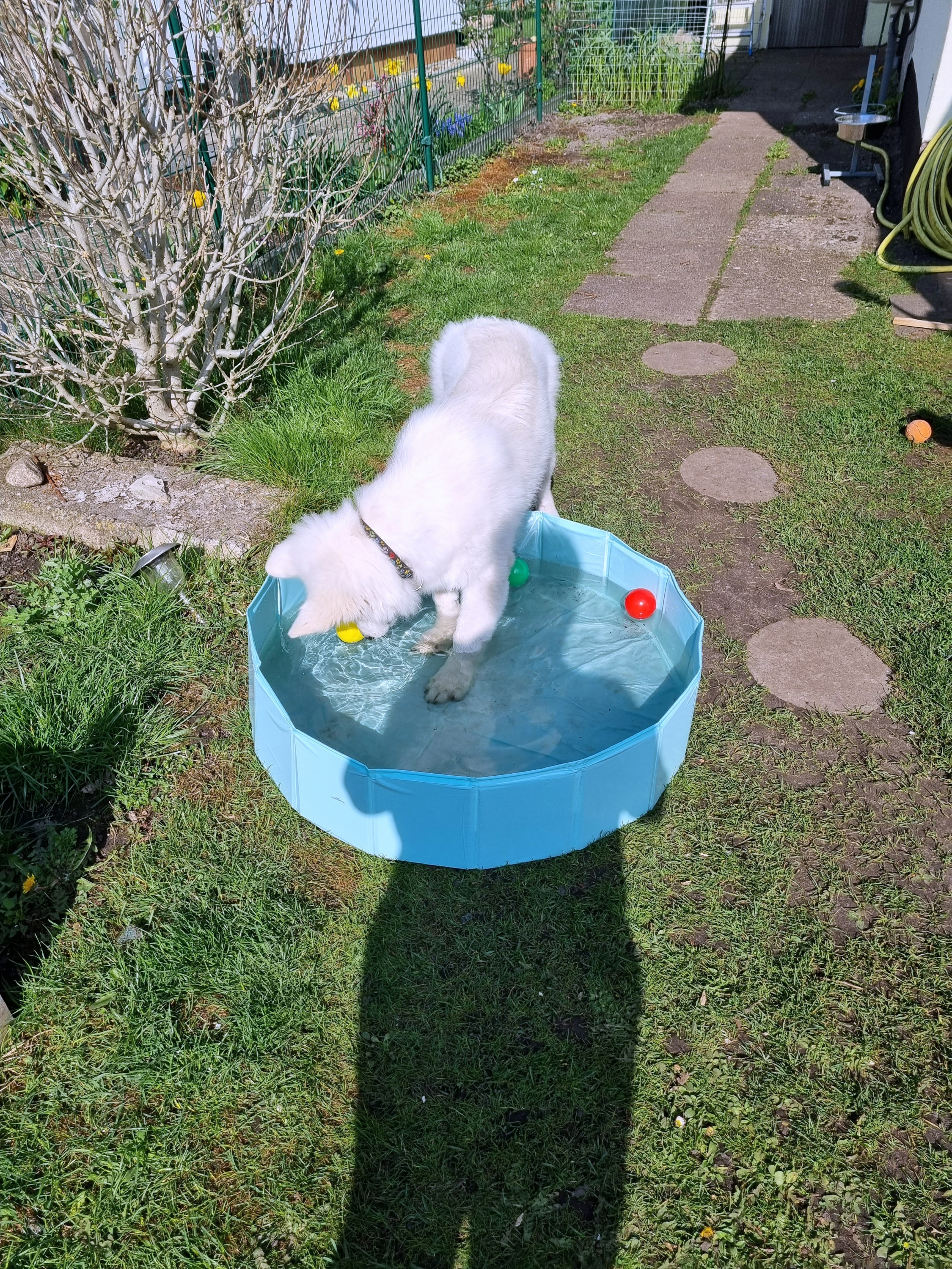 Wasser, auch in Kleinformt schön