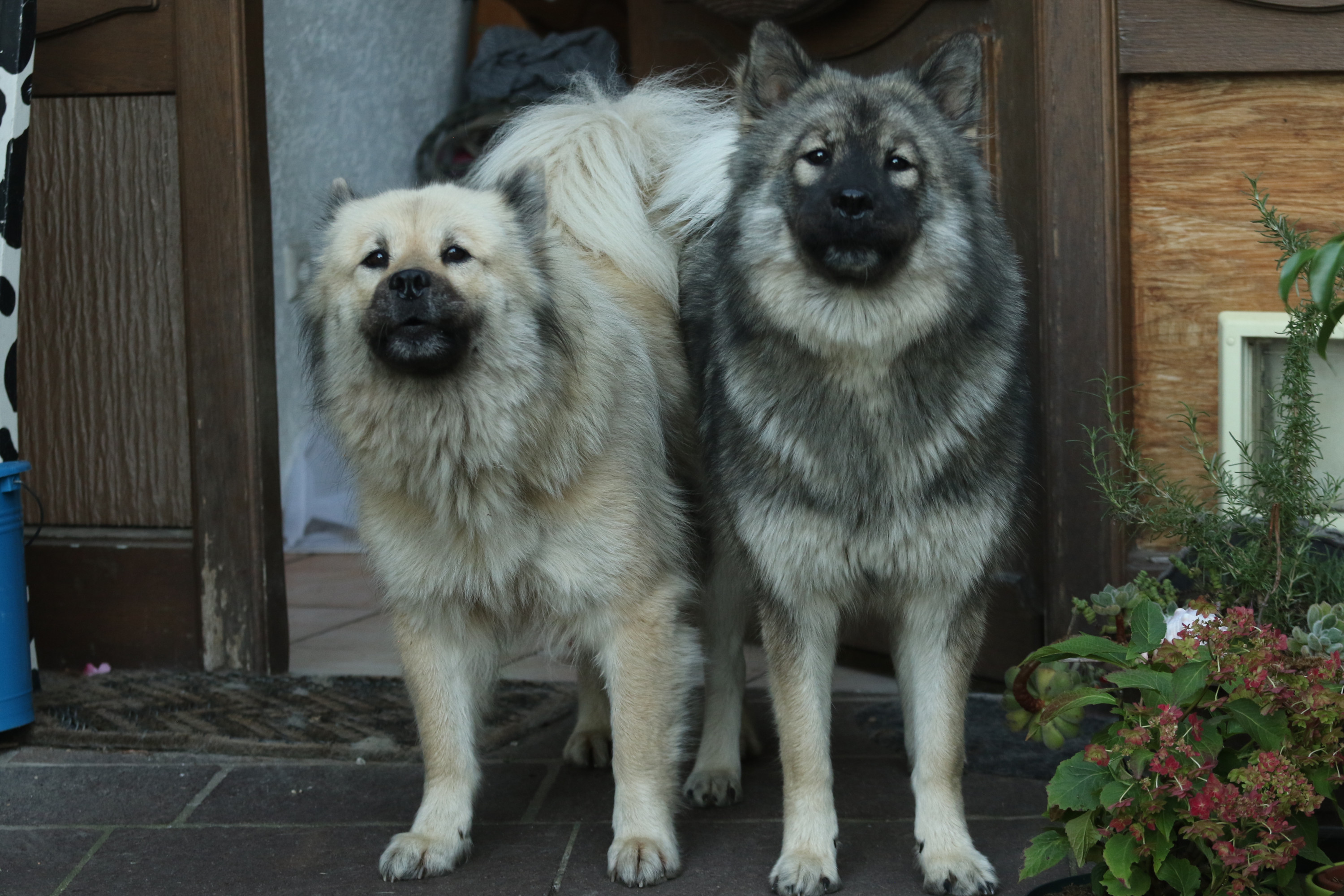 Mutter und Tochter