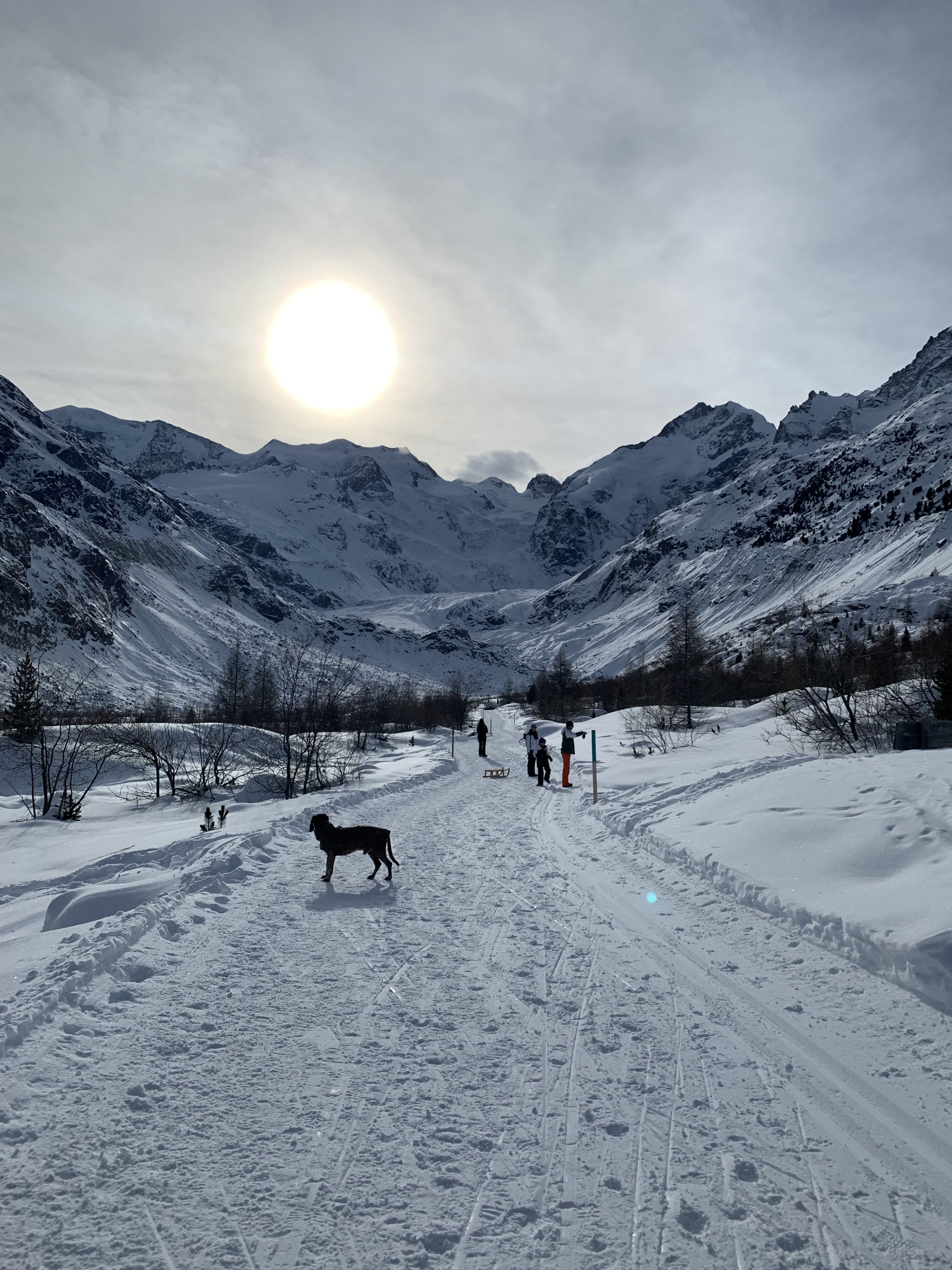 Auf dem Weg zum Morteratschgletscher