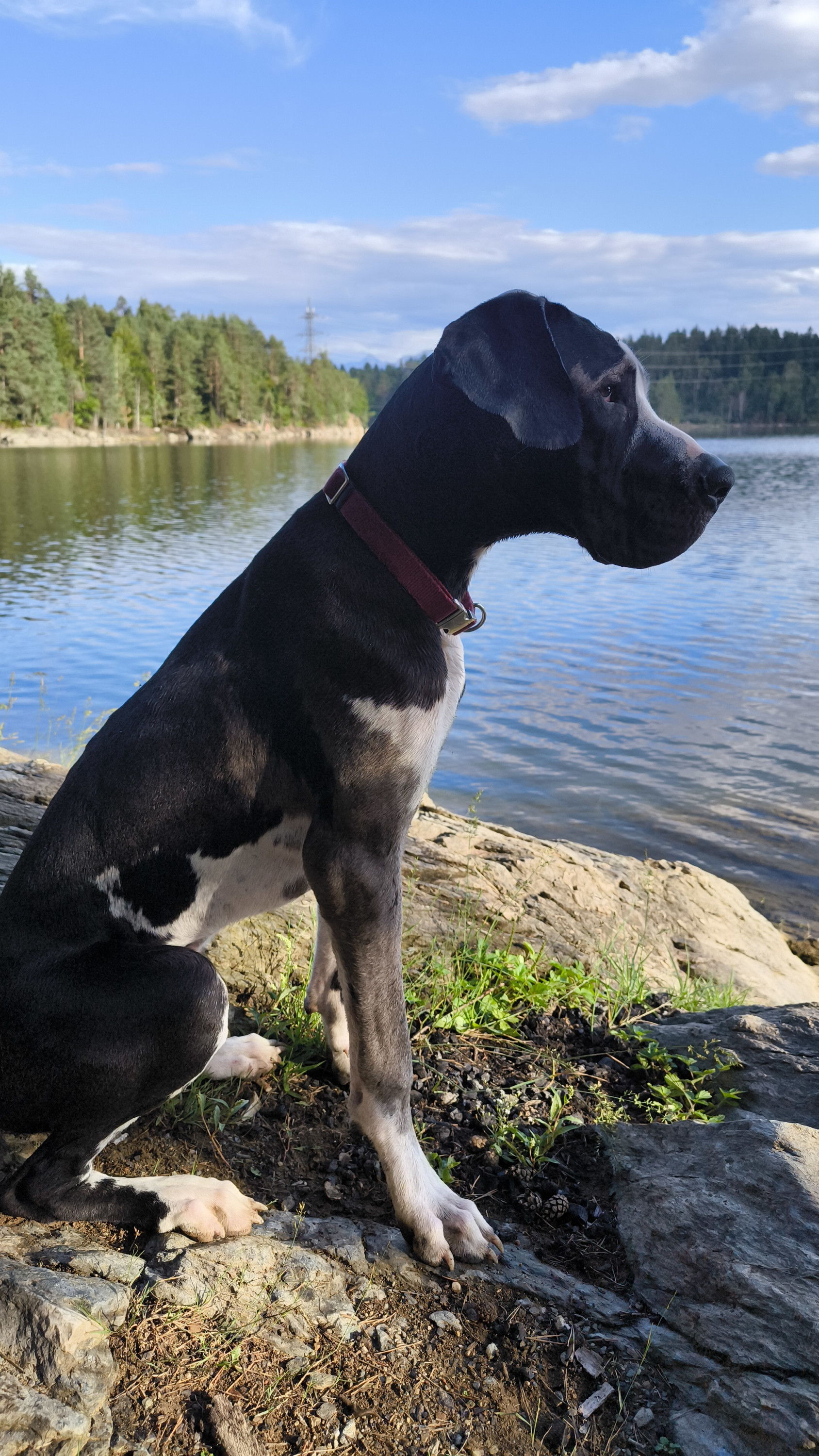 Ich kann es kaum erwarten ins Wasser zu springen