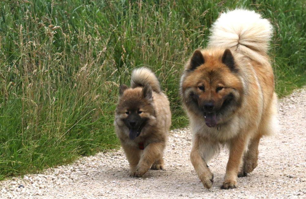 Bärbel und Akira