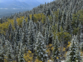 Yamnuska, AB