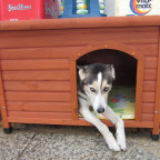 Oskar in seiner Hütte