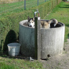 Oskar in der "Badewanne"