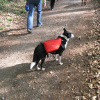 Betsey mit Rucksack