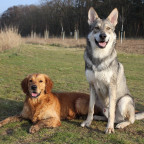 Askan und Mylo